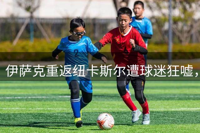 伊萨克重返纽卡斯尔遭球迷狂嘘，被骂贪婪混蛋