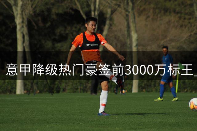 意甲降级热门豪签前3000万标王 千万欧浮动条款暗藏深意