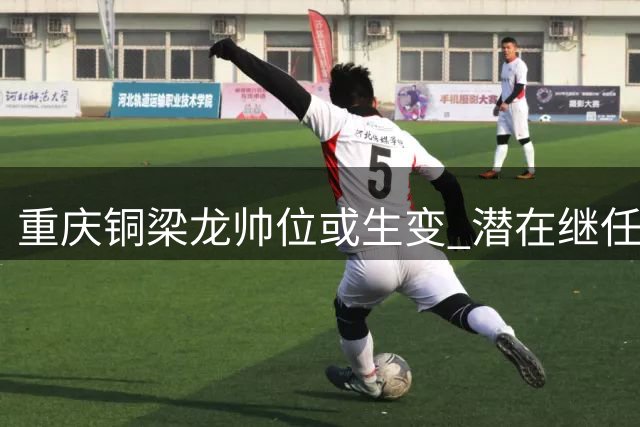 重庆铜梁龙帅位或生变 潜在继任者能力分析